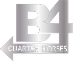 B4 QUARTER HORSES
